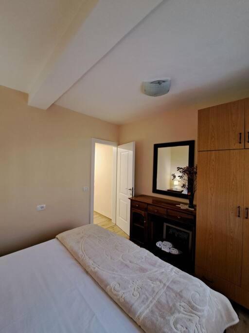 Quiet, Cozy, Luminous Apartment Tirana Extérieur photo