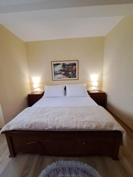 Quiet, Cozy, Luminous Apartment Tirana Extérieur photo