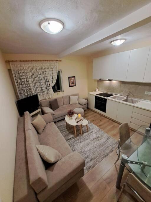 Quiet, Cozy, Luminous Apartment Tirana Extérieur photo
