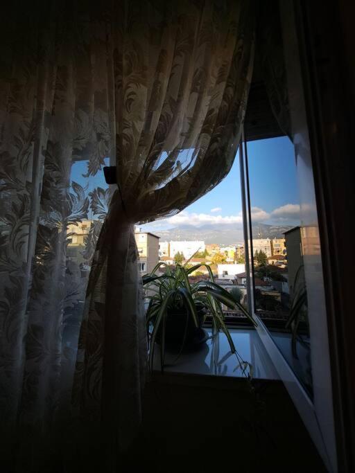 Quiet, Cozy, Luminous Apartment Tirana Extérieur photo