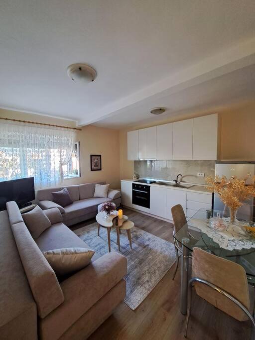 Quiet, Cozy, Luminous Apartment Tirana Extérieur photo