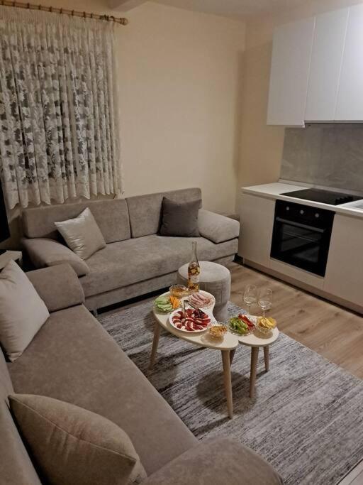 Quiet, Cozy, Luminous Apartment Tirana Extérieur photo
