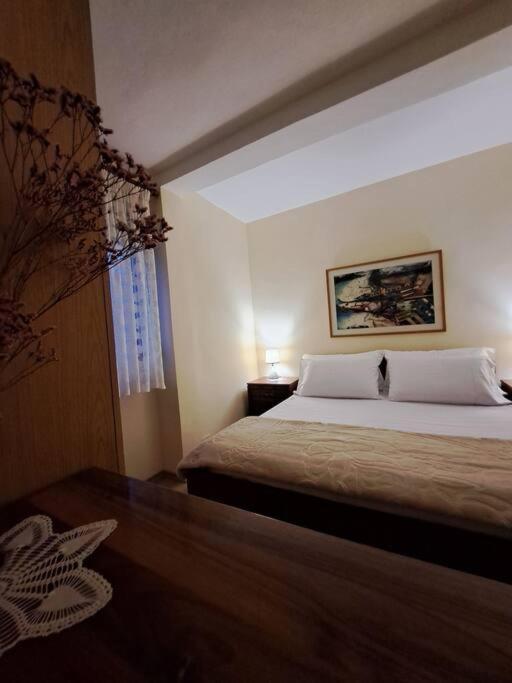Quiet, Cozy, Luminous Apartment Tirana Extérieur photo